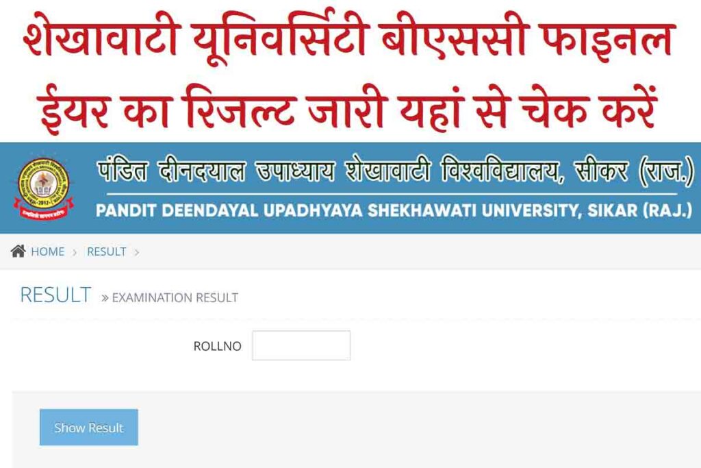 Shekhawati University BSC Final Year Result 2023