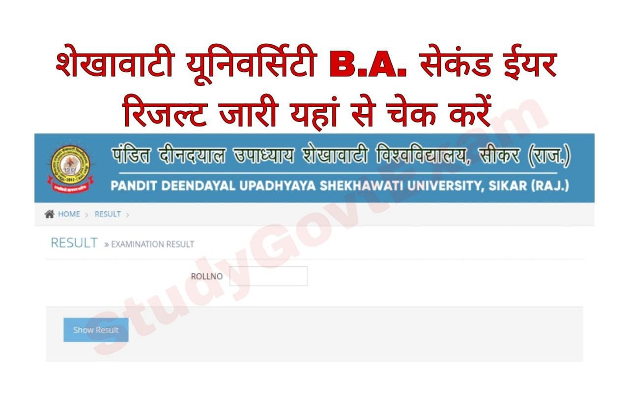 Shekhawati University BA 2nd Year Result 2023 PDUSU BA Part 2 Result